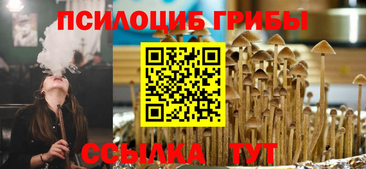 Псилоцибиновые грибы мухоморы  Вход с VPN  Новозыбков 