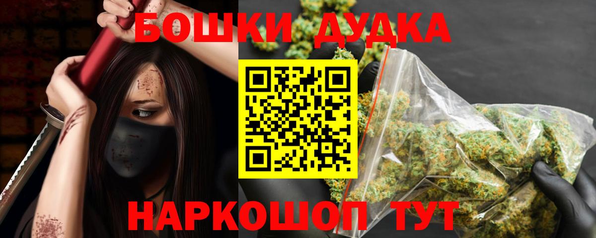 Новозыбков  Конопля семена  Вход с VPN  Бошки марихуана семена  Конопля OG Kush  Конопля индика 